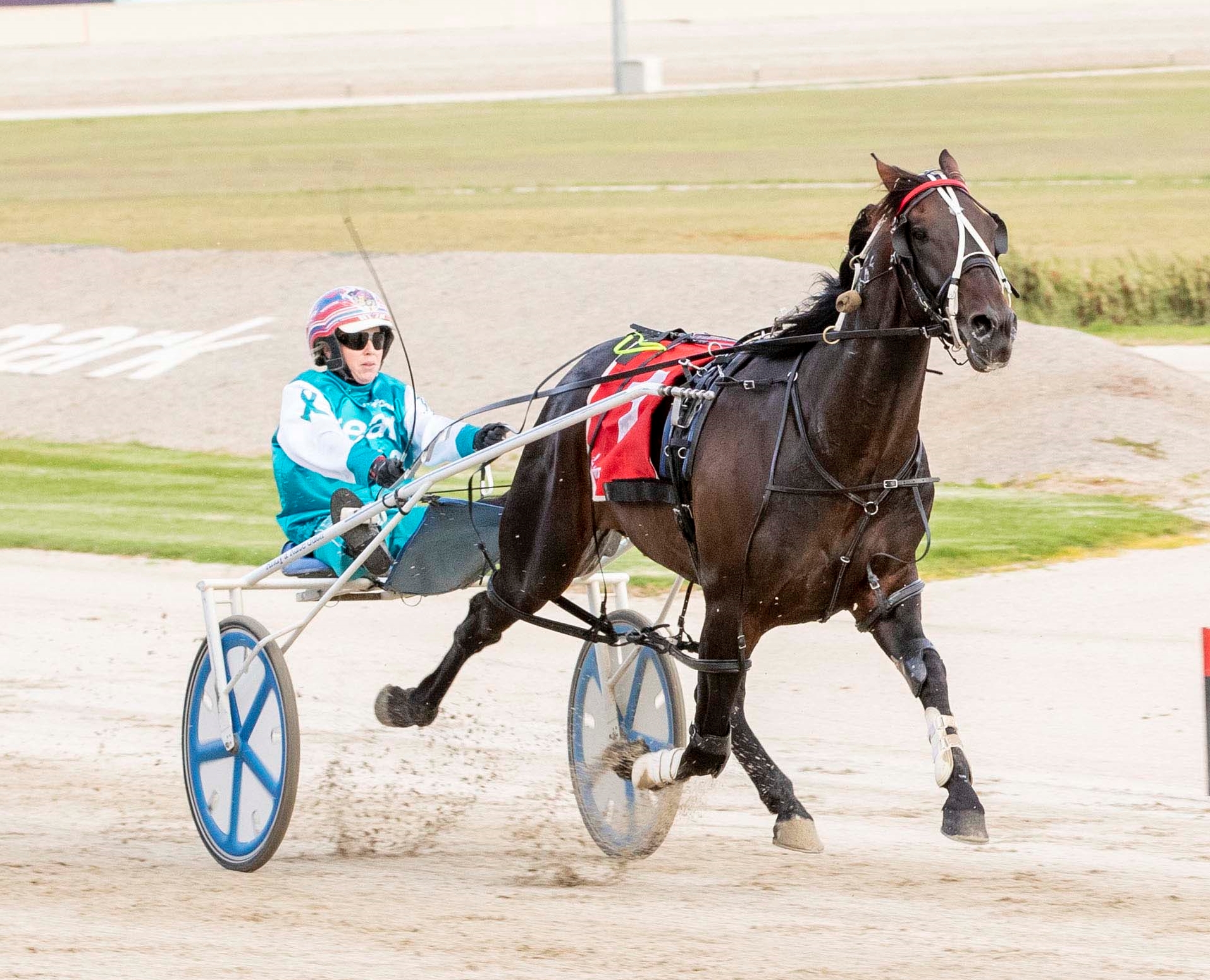 Friday Form Panel Get in early at Melton to nab value plays Harness